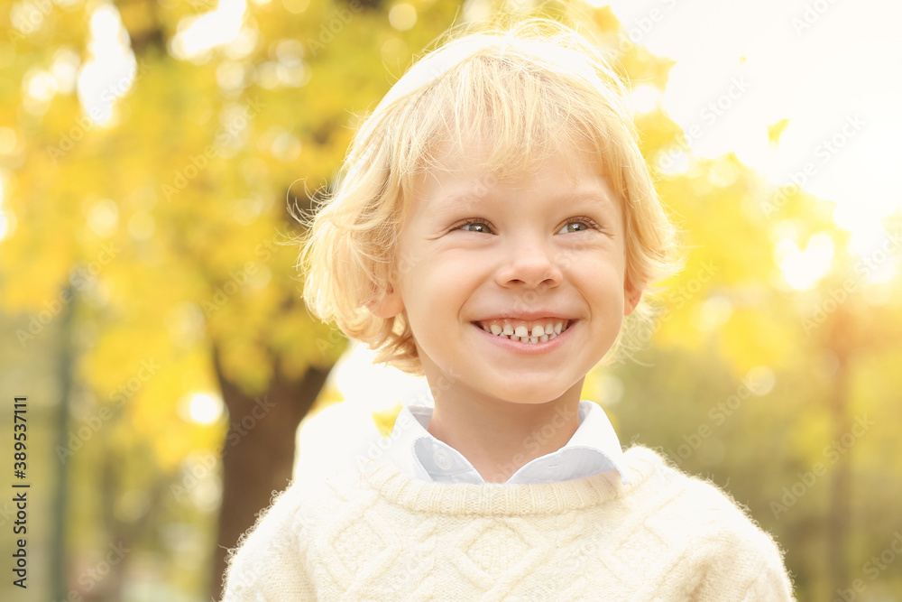 Cute little boy in autumn park