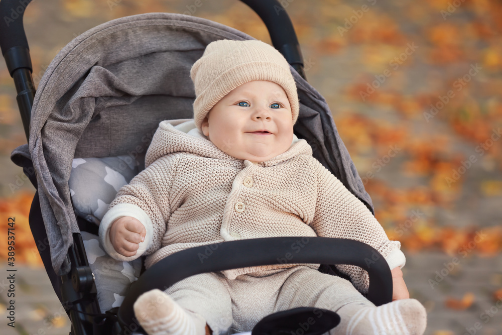 Cute funny baby in stroller outdoors