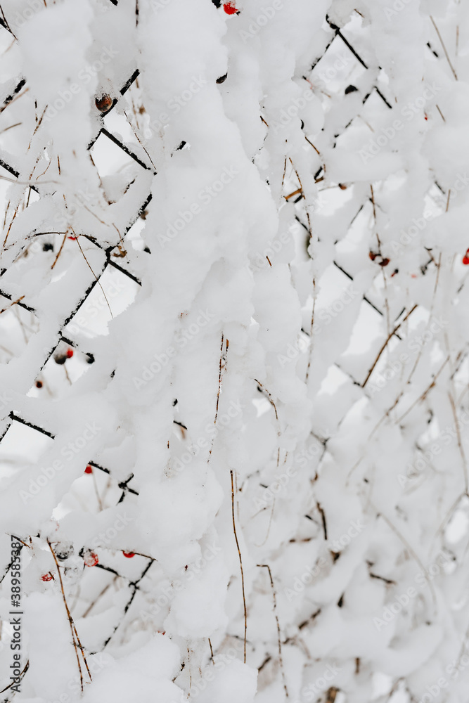 Closeup of snow covering a fence