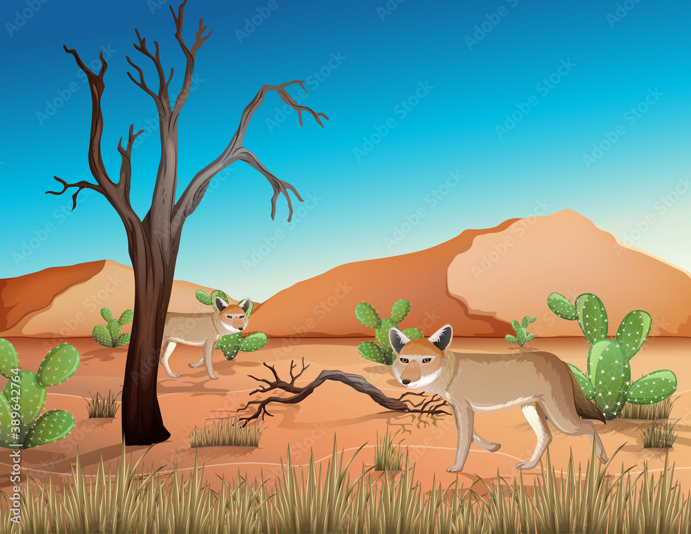 Desert with sand mountains and coyote landscape at day time scene