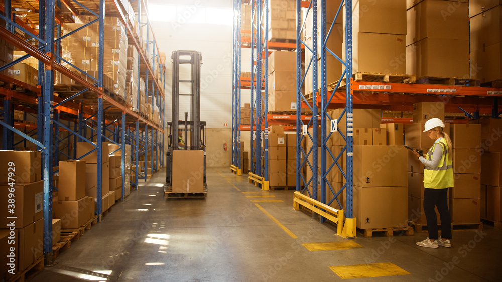 Retail Warehouse full of Shelves with Goods in Cardboard Boxes, Workers Scan and Sort Packages, Move