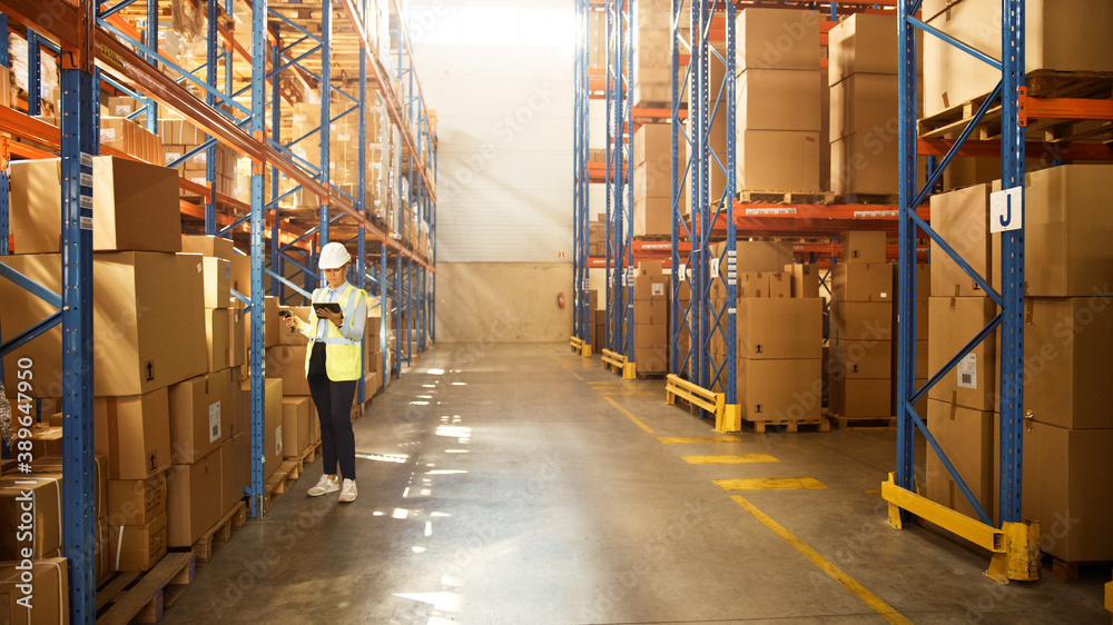 Retail Warehouse full of Shelves with Goods in Cardboard Boxes, Beautiful Female Worker Scan and Sor