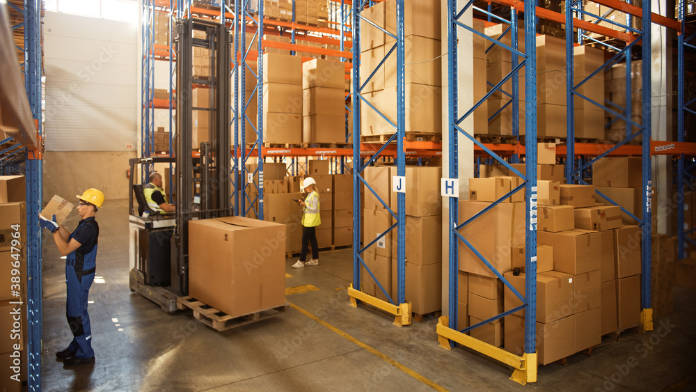 Retail Warehouse full of Shelves with Goods in Cardboard Boxes, Workers Scan and Sort Packages, Move