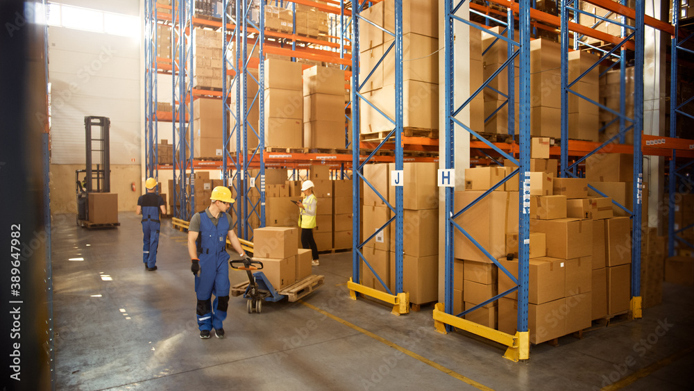 Retail Warehouse full of Shelves with Goods in Cardboard Boxes, Workers Scan and Sort Packages, Move