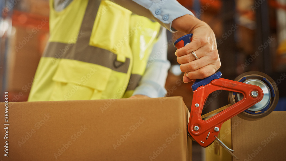 In Retail Warehouse Professional Worker Packing Parcel, Cardboard Box Sealed with Tape Dispenser Rea