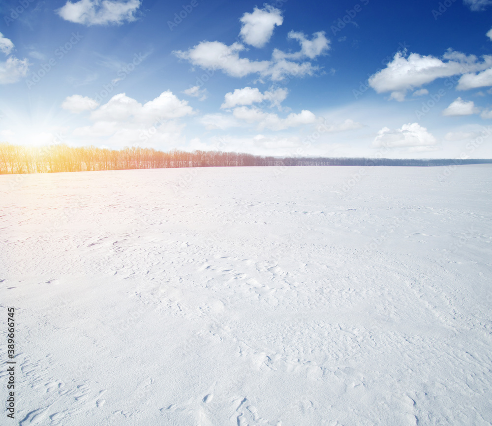 天空和阳光下白雪皑皑的田野。