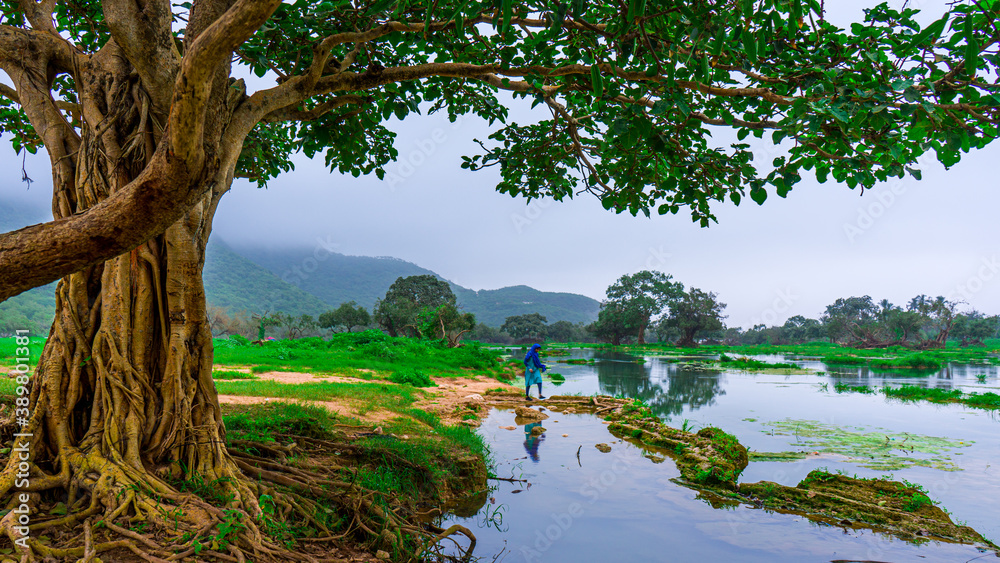 lake in the forest