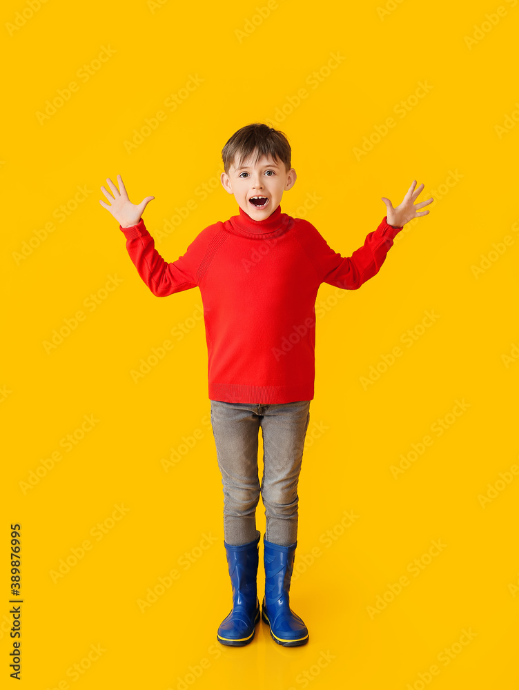 Happy little boy in autumn clothes on color background