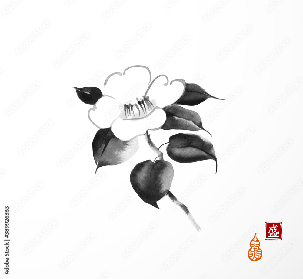 Camelia flower on white background. Traditional oriental ink painting sumi-e, u-sin, go-hua. Transla