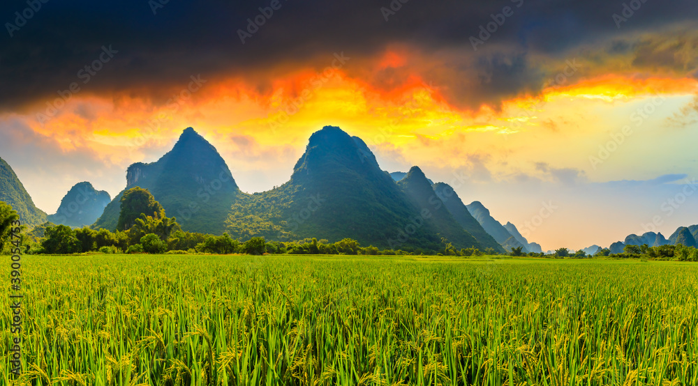 中国桂林的绿色稻田和山地自然风光。