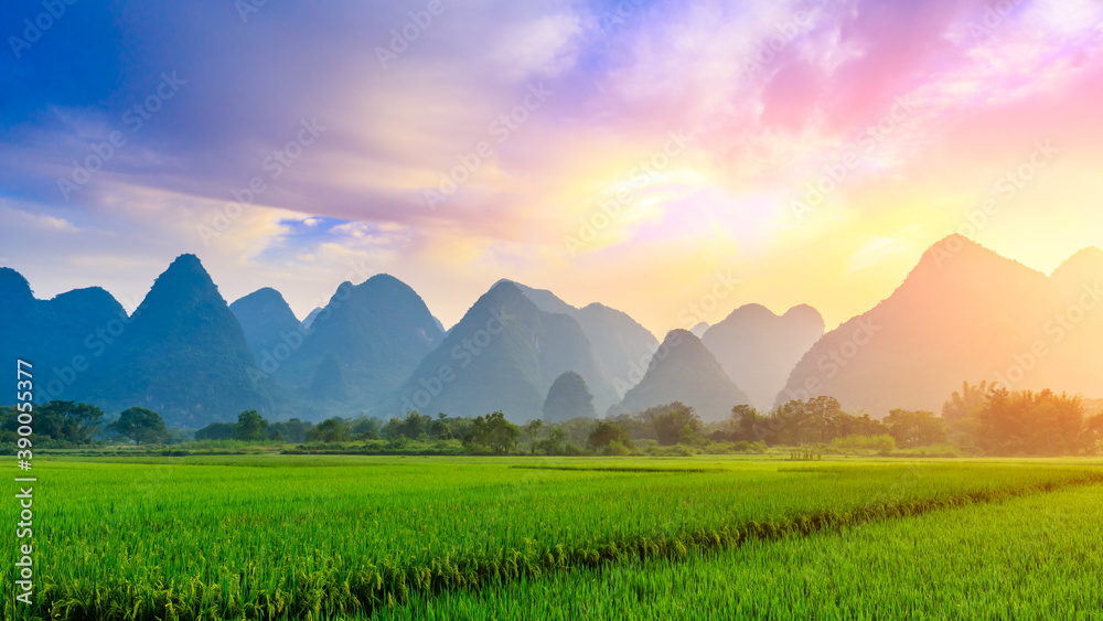 Green rice field and mountain natural scenery in Guilin,China.