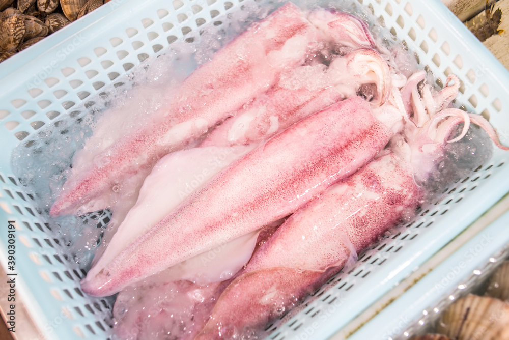 Fresh squid at the fish market