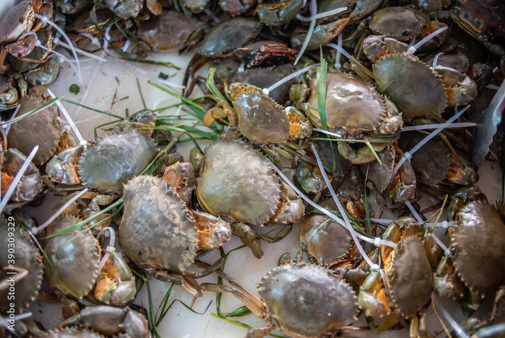 Specialty cream crab in Nansha, Guangzhou, China