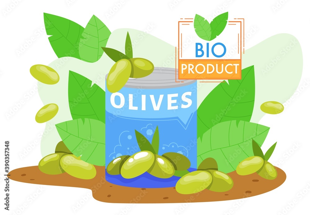 Olives farm agriculture product vector illustration. Cartoon flat farmed pickled green olive fruits 