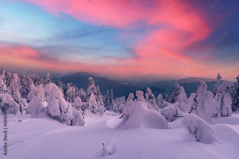 清晨阳光照射下雪山上的奇妙冬季景观。戏剧性的冬日场景机智