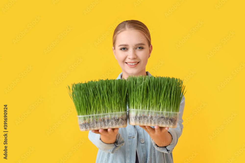 Young woman with wheatgrass on color background