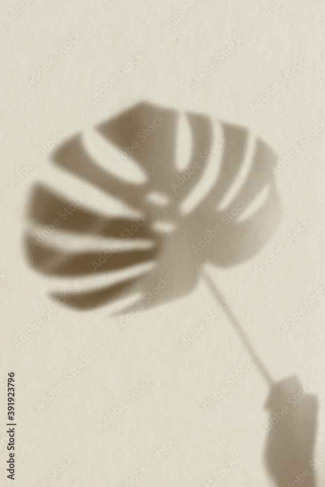 Shadow of Monstera leaf on brown background