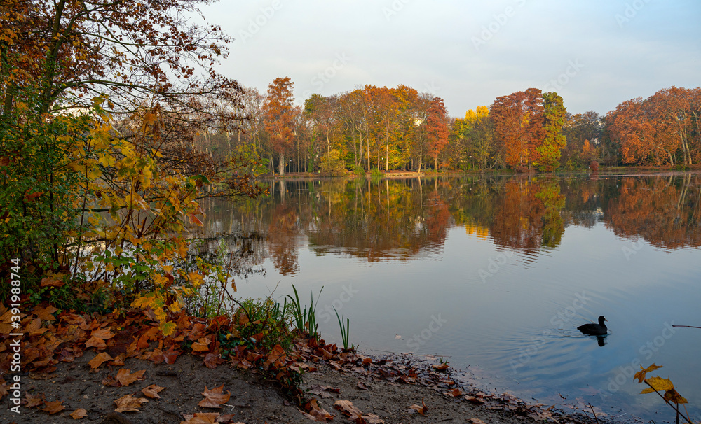 Paysage dautomne au Parc de la Tête dOr à Lyon en france, à lautomne