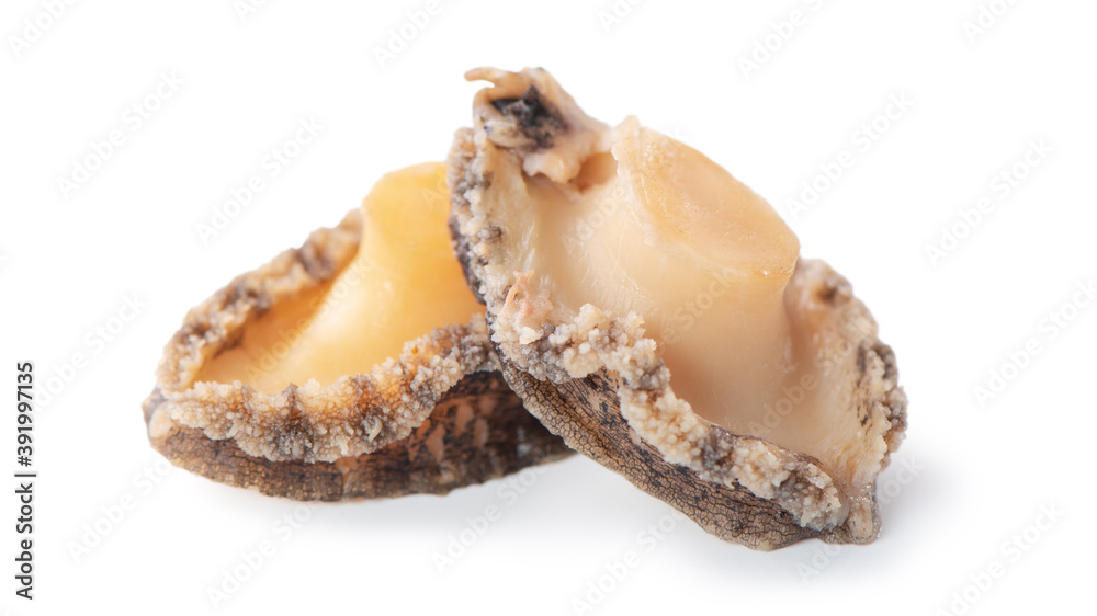 Close up of raw abalone isolated on white background, clipping path cut out.