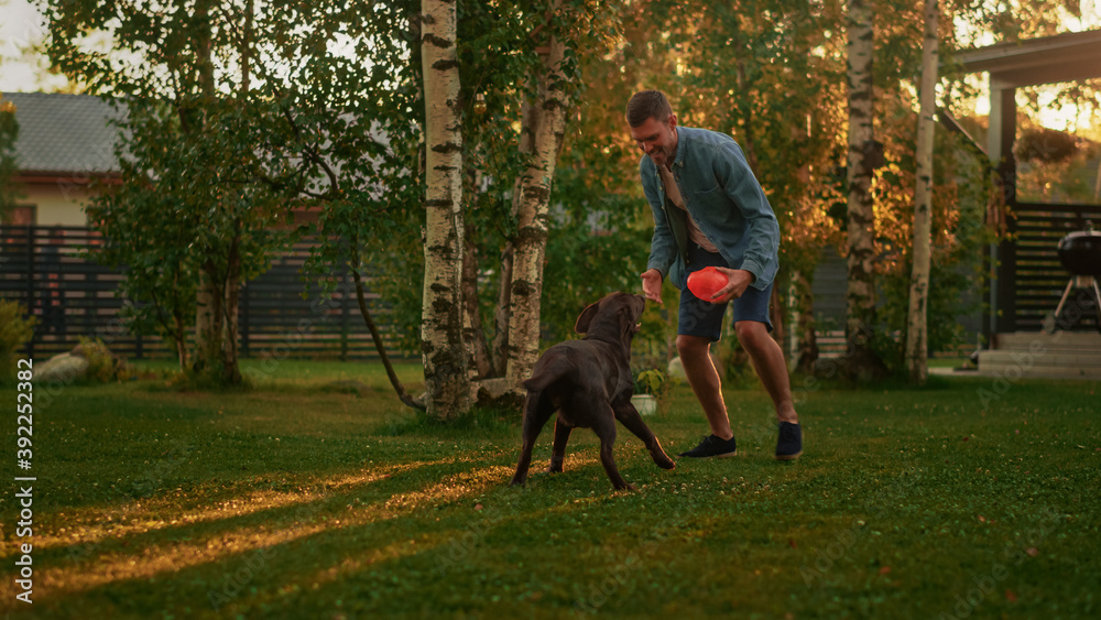 Handsome Man Plays Catch with Happy Brown Labrador Retriever Dog on the Backyard Lawn. Man Has Fun w