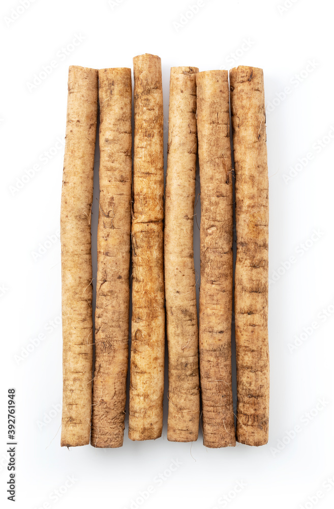 Burdock on a white background