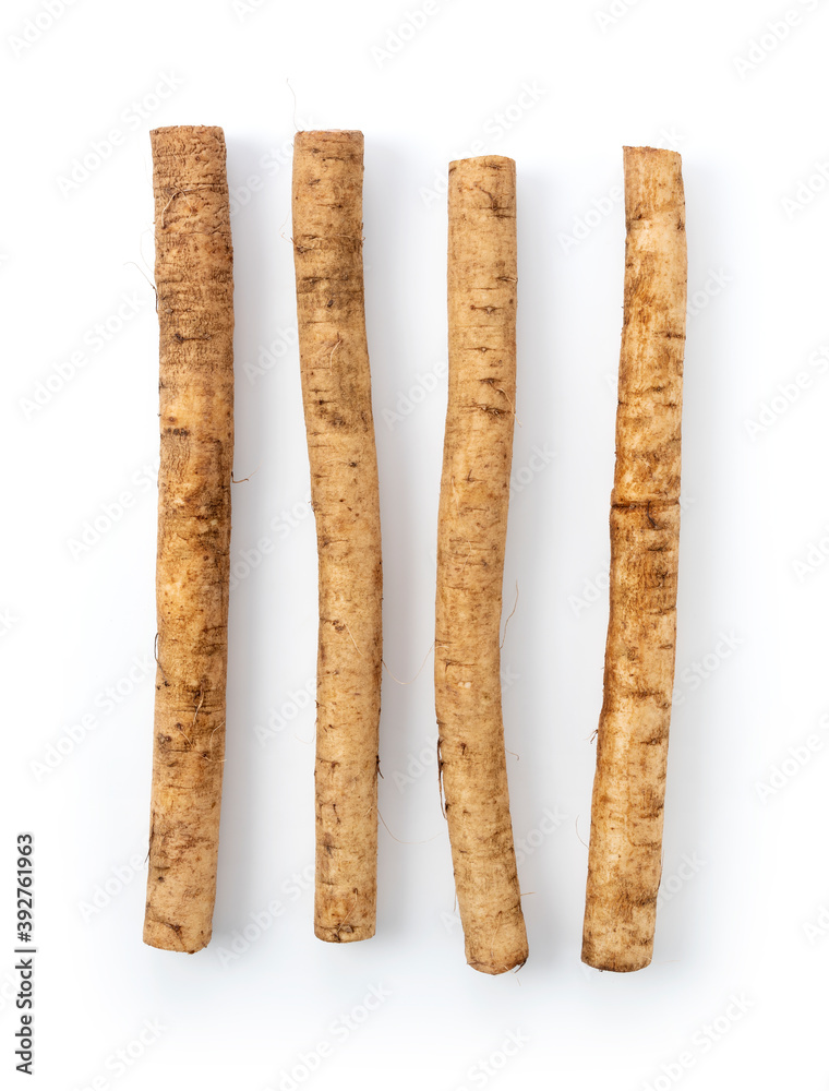 Burdock on a white background