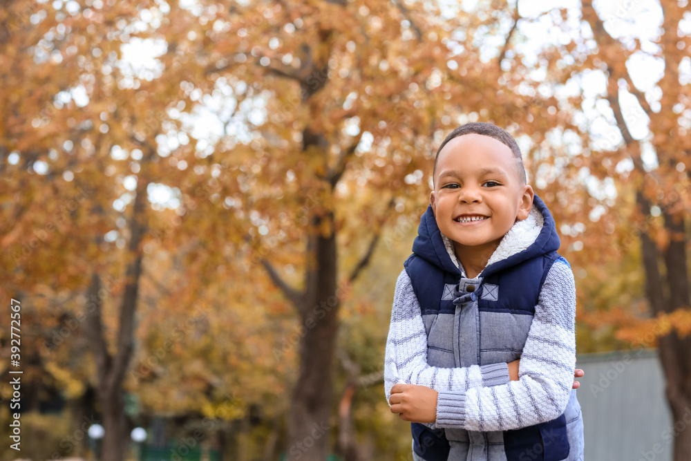 Cute African-American boy in autumn park