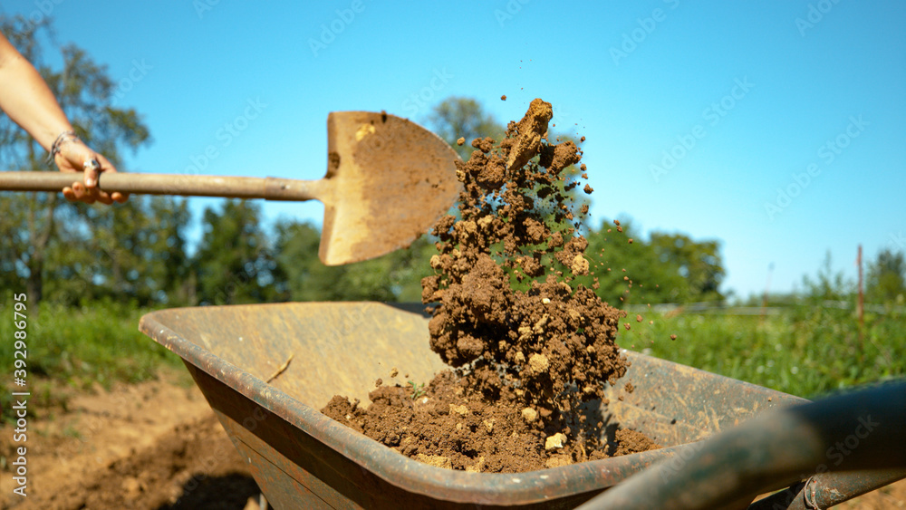 CLOSE UP: Unrecognizable woman unloads a shovel of soil into a wheelbarrow.