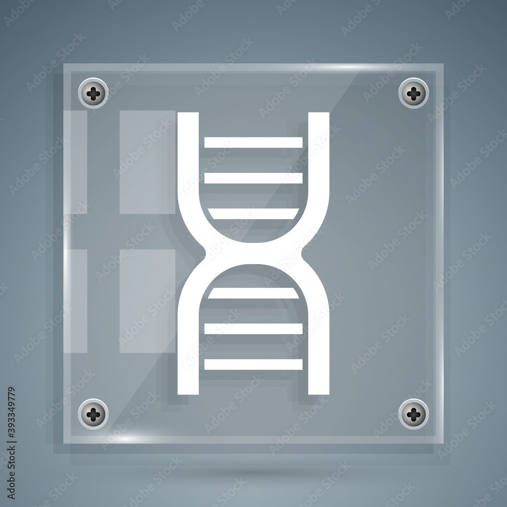 灰色背景上分离的白色DNA符号图标。方形玻璃面板。矢量。