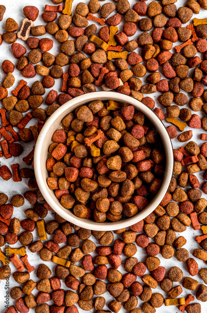 dry dog food in bowl on white background top view