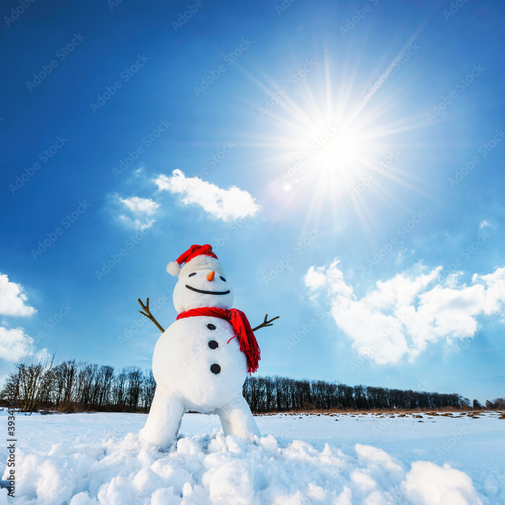 Funny snowman in Santa hat and red scalf on snowy field. Merry Christmass and happy New Year!