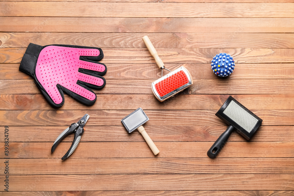 Pet care accessories on wooden background