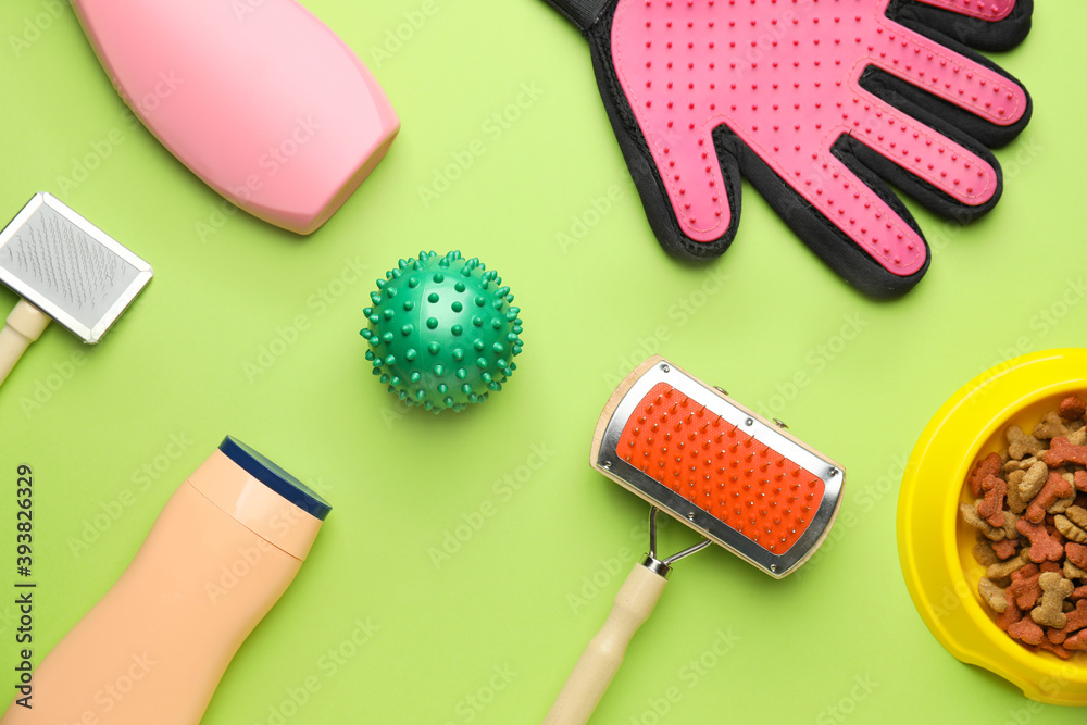 Pet care accessories on color background