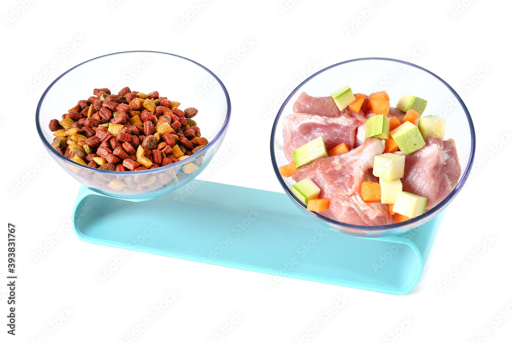 Bowls with dry and fresh pet food on white background