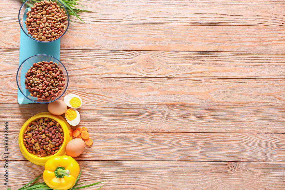 Dry and fresh pet food on wooden background