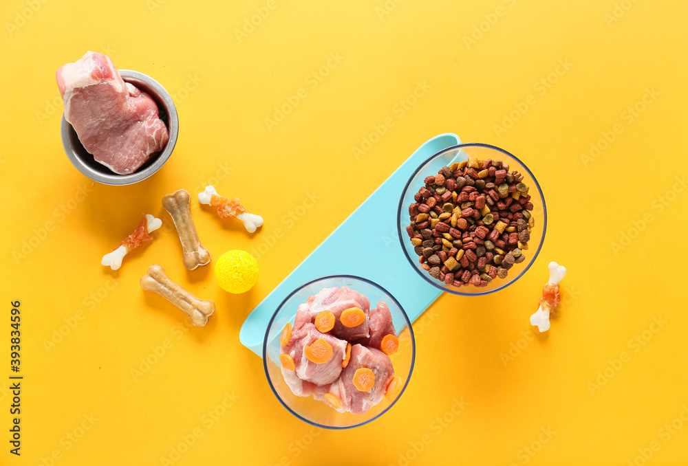 Dry and fresh pet food on color background