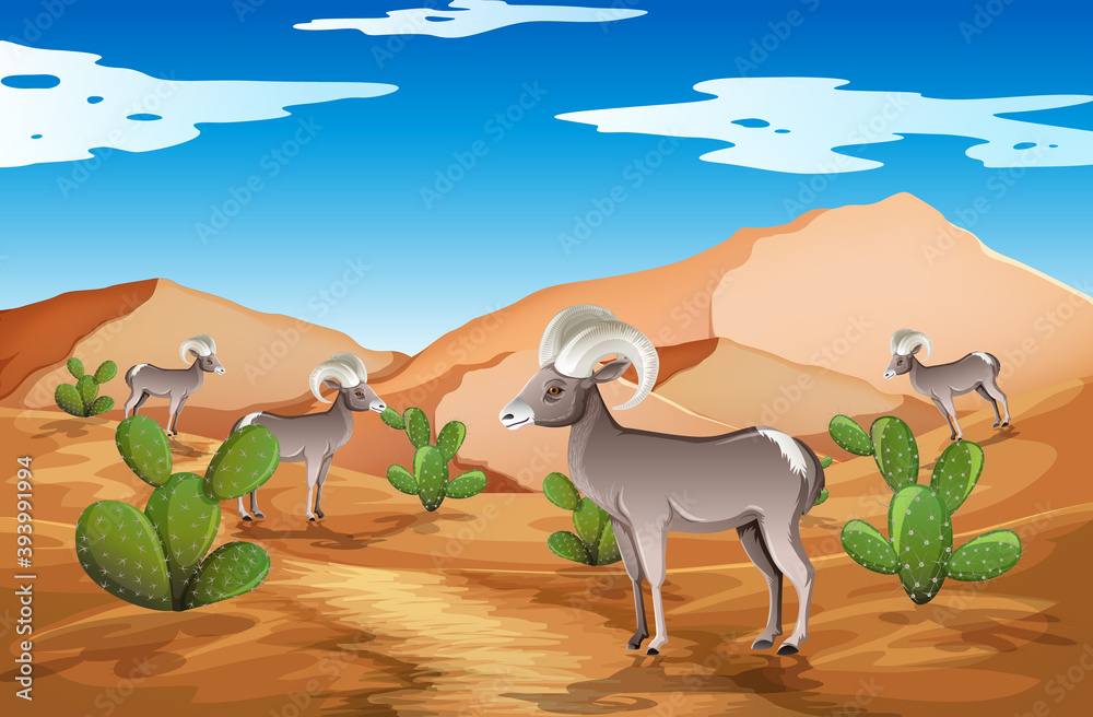 Wild desert landscape at daytime scene