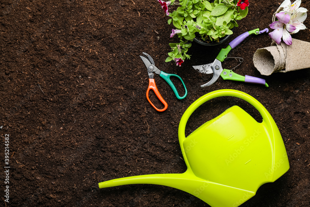 Supplies for gardening with plants on soil