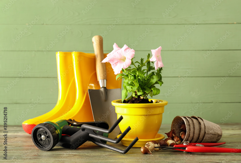 Gardening tools and pot flower on wooden background