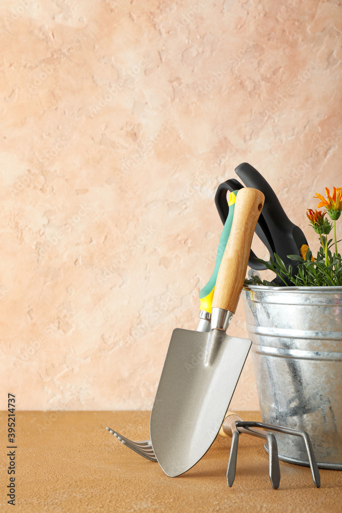 Gardening tools and pot flower on color background