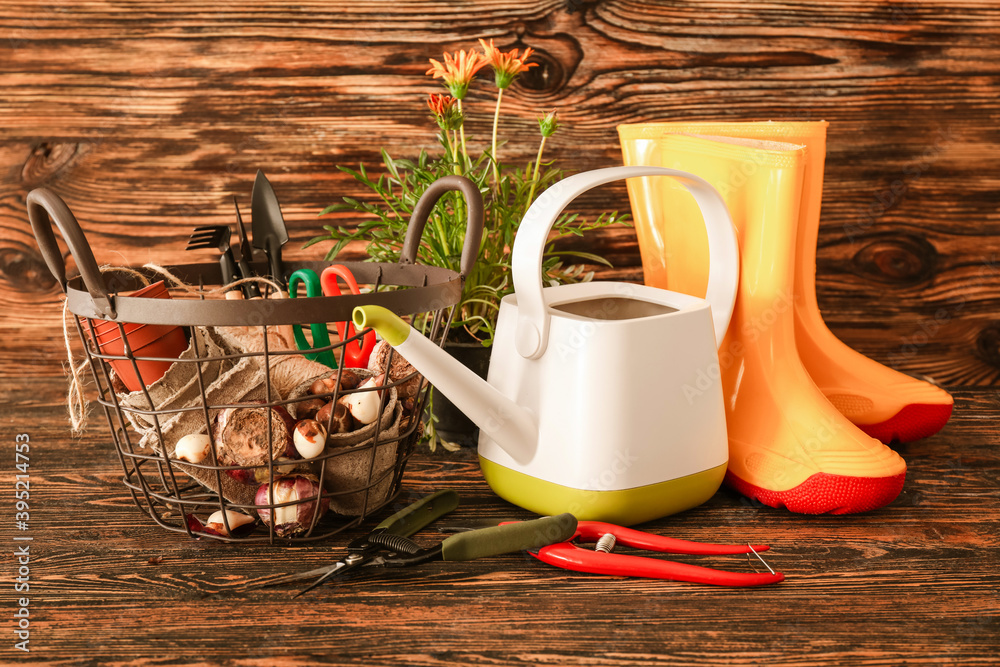 Gardening tools and pot flower on wooden background