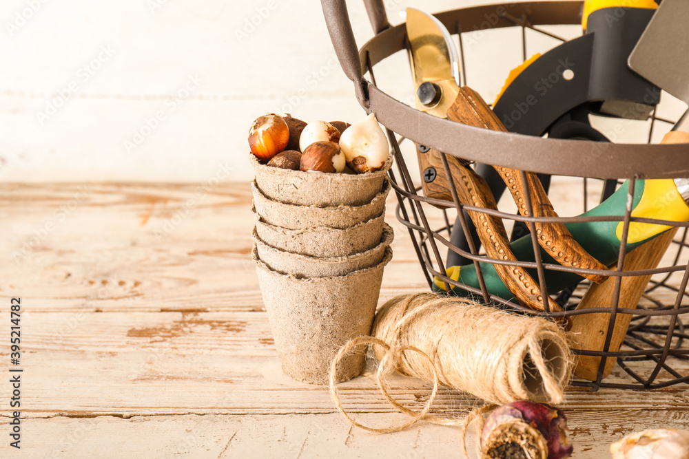 Gardening tools on light background, closeup