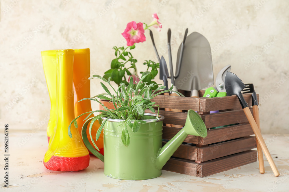 Gardening tools with gumboots and plants on light background