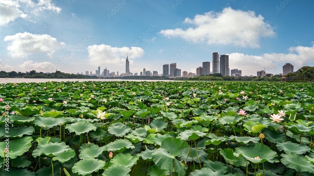 南京现代城市建筑的天际线