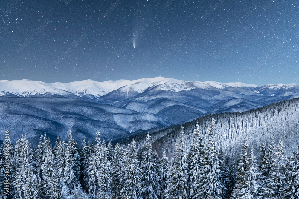 星光照耀下的奇妙冬季景观。白雪皑皑的树木和彗星i的戏剧性冬季场景