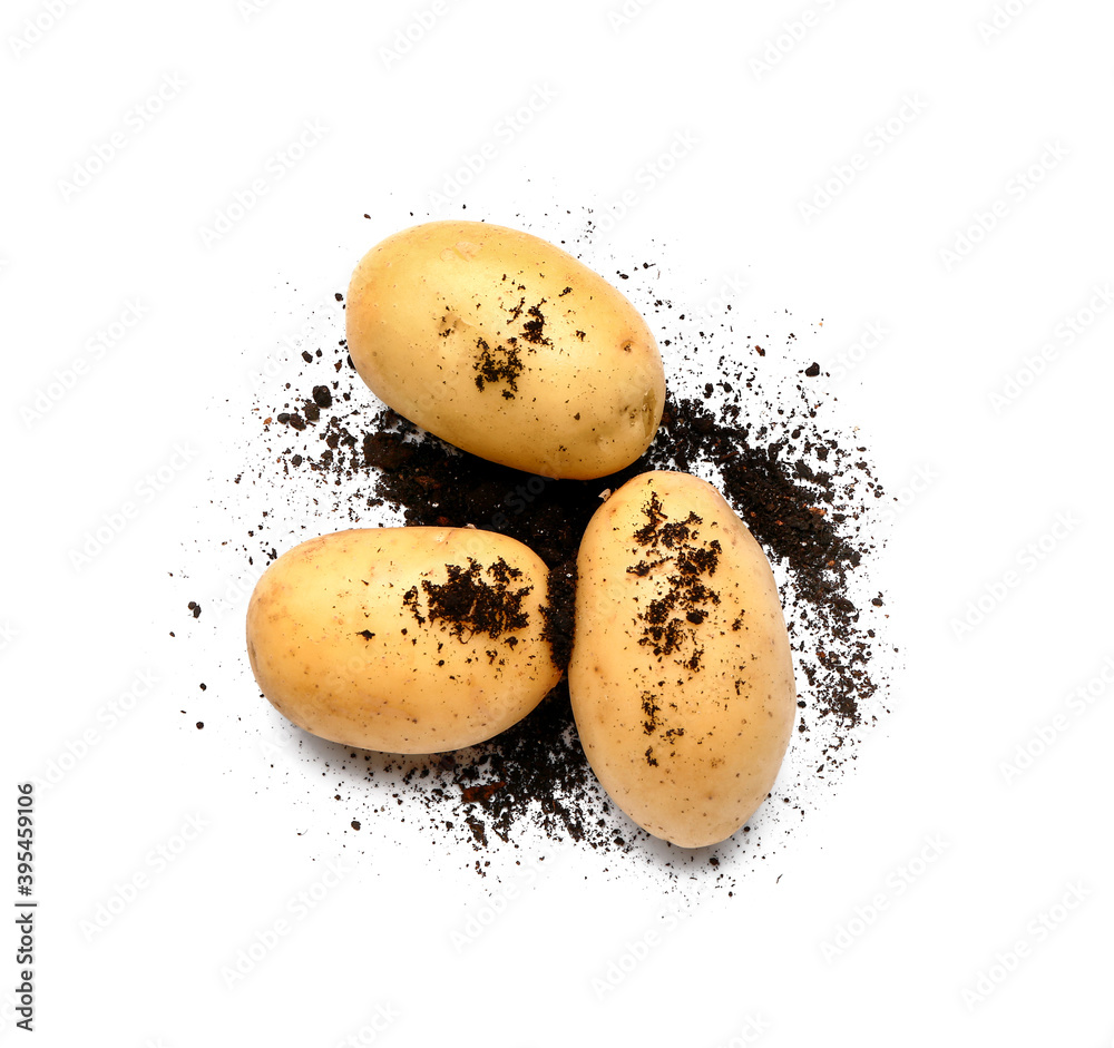 Raw potato and ground on white background