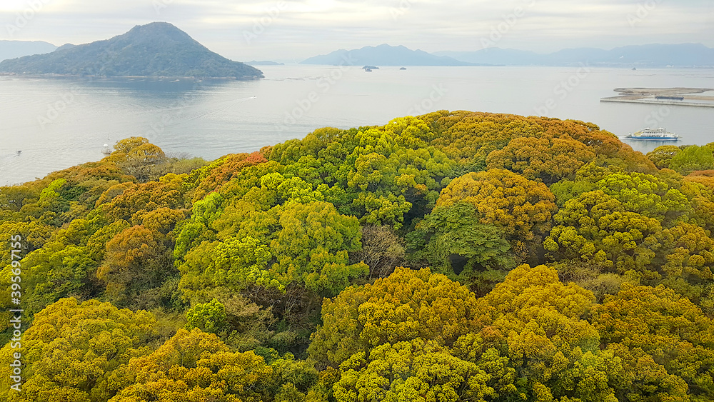 日本伊势岛的景观