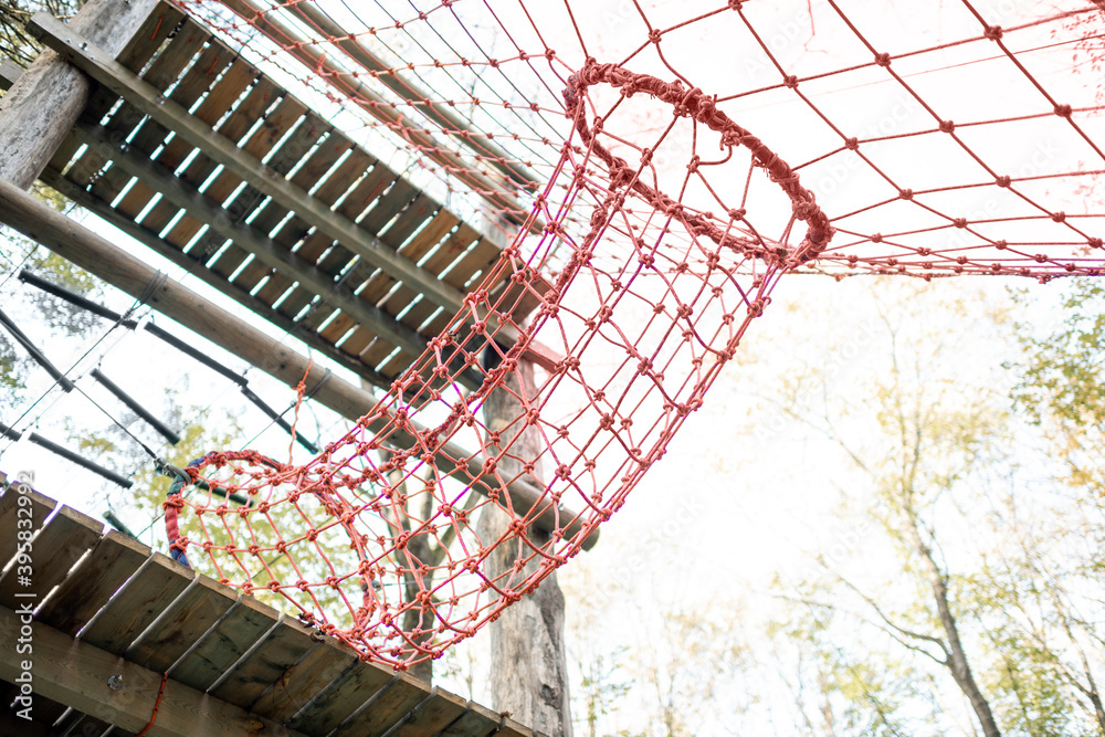 Rope park with obstacles in the forest