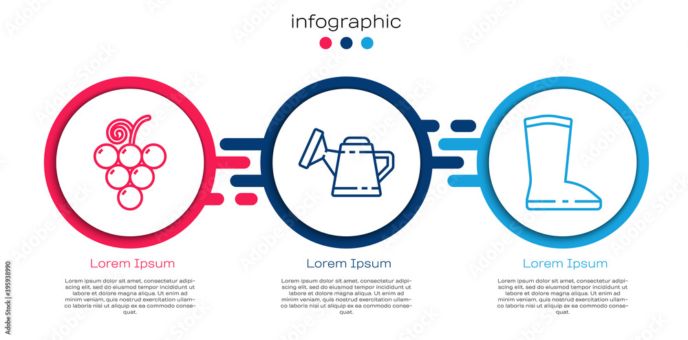 Set line Grape fruit, Watering can and Waterproof rubber boot. Business infographic template. Vector