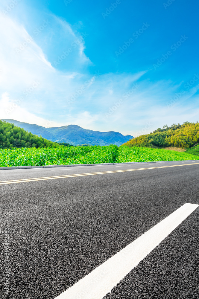 Asphalt road and green mountain with bamboo forest natural landscape.